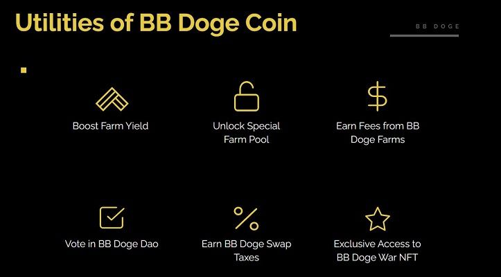 BB Doge Coin.JPG