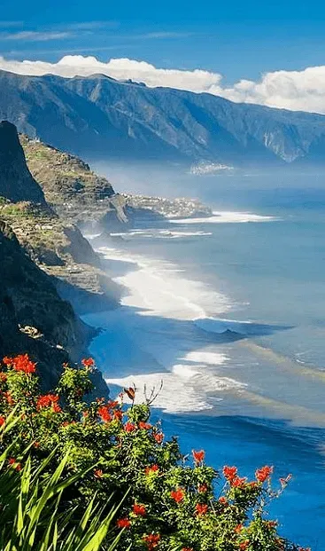 mar-flores-madeira.webp