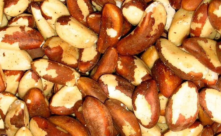 1024px-Brazil_nuts.jpg