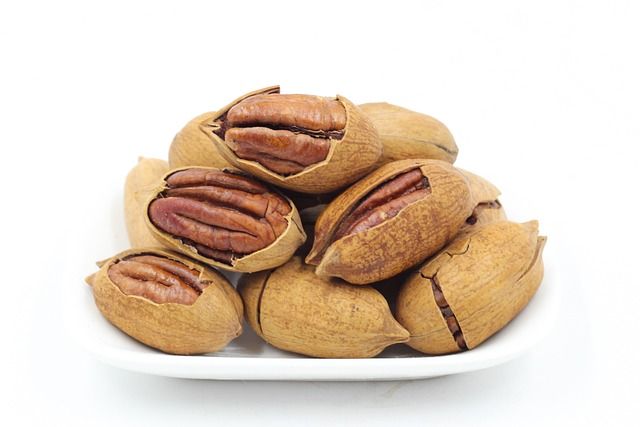 pecans-1214698_640.jpg