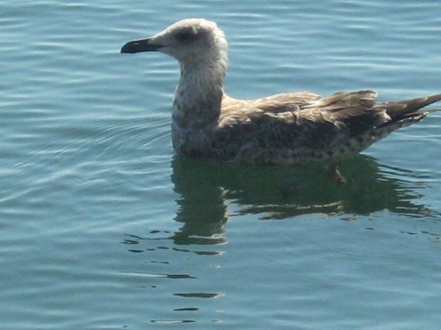 185.-Sardegna 072.jpg