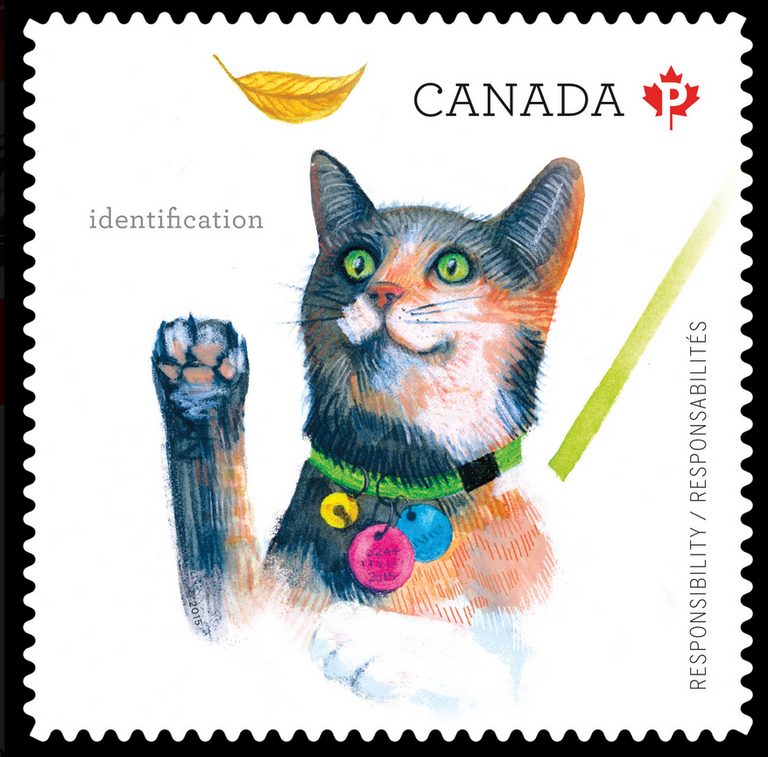 306.-Cats-Canada.png