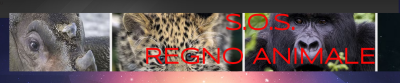 banner-sos-regno-animale-400x83.png