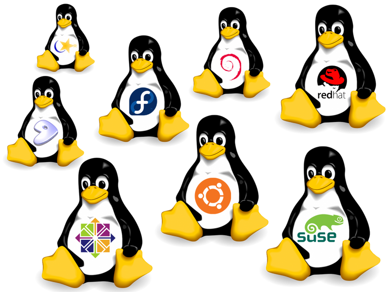 293.-Como-elegir-la-distro-Linux.png