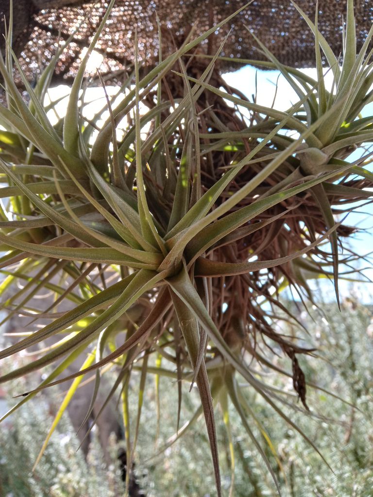 230.-20220423_124449_HDR.jpg