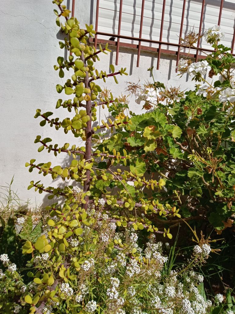 230.-20220423_123626_HDR.jpg
