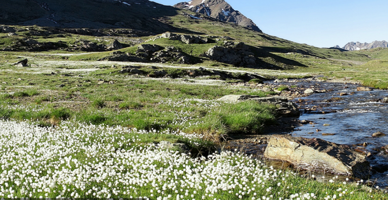 574.-Stelvio.Parque-Nacional.png