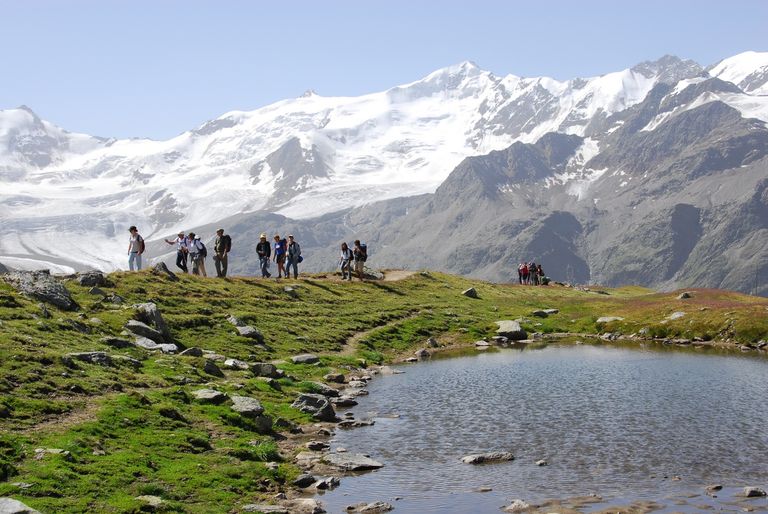 544.-Parco-Nazionale-Stelvio.jpg