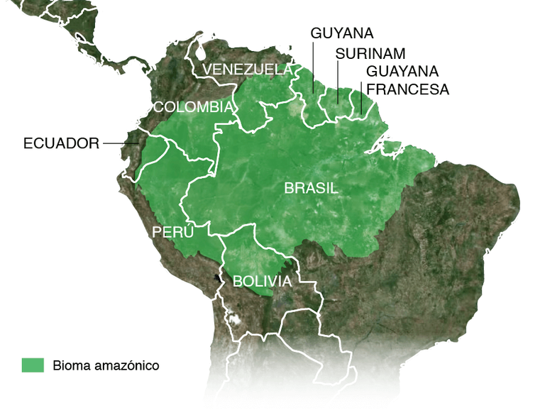 494.-Amazonas-1.png