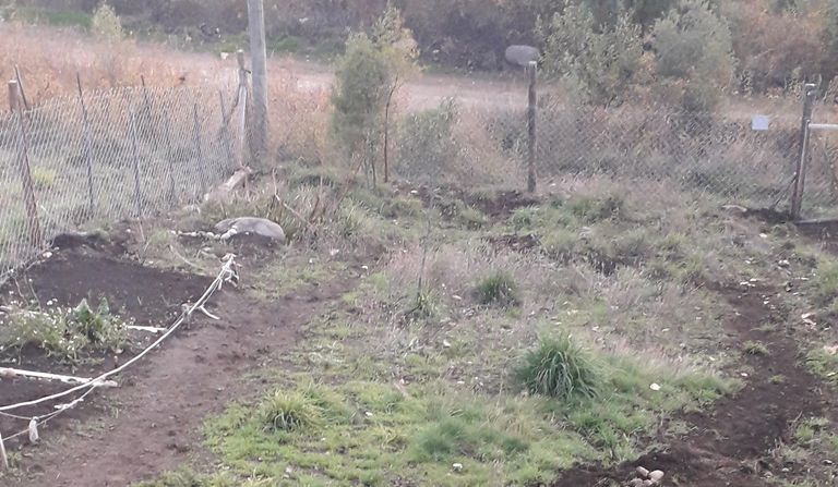 233.-huerta.jpg