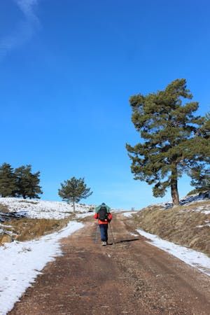 free-photo-of-man-on-a-trail-in-sunlight.jpeg