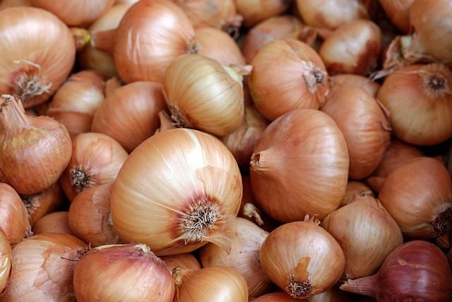 onions-1397037_640.jpg