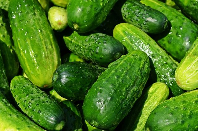 cucumbers-849269_640.jpg