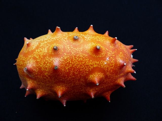 kiwano-101499_640.jpg