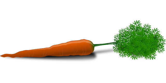 carrot-33625_640 (1).png