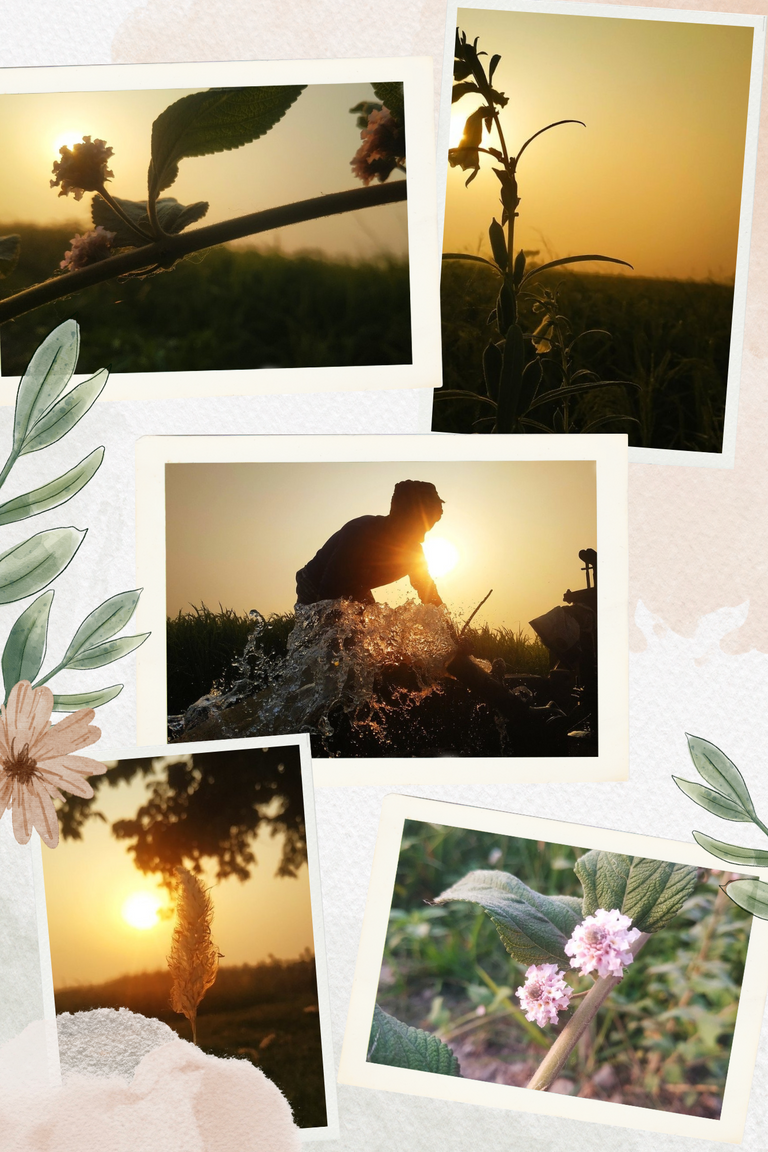 Brown Watercolor Floral SImple Family Photo Collage_20241104_140220_0000.png