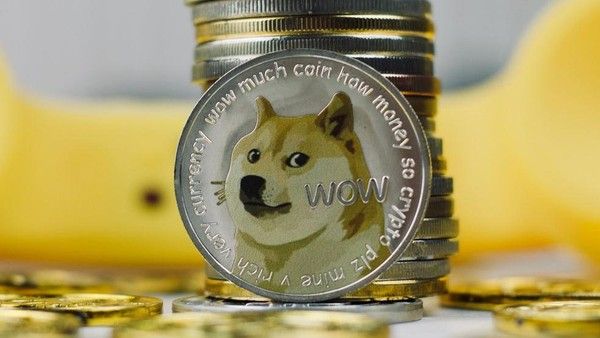 dogecoin_169.jpeg