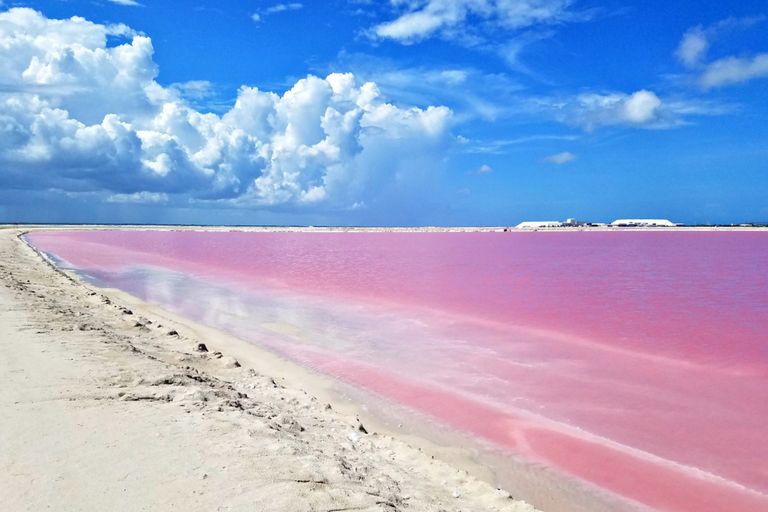 por-que-el-agua-es-rosa-en-las-coloradas.jpg