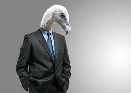 vulture capitalist.jpeg