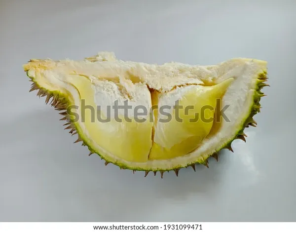 durian-fruit-generally-slightly-oval-600w-1931099471.webp