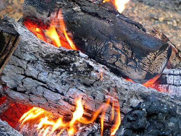 600px-Firewood_burning.jpg