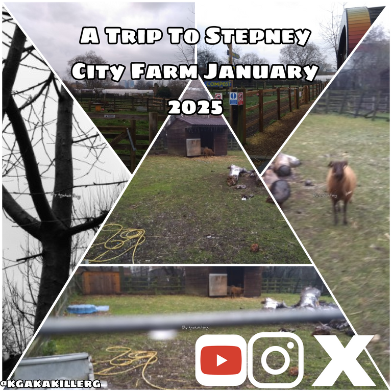 kgakakillerg original content A Trip To Stepney City Farm| Walk Around Stepney City Farm January 2025 part 1 💯 Original Content