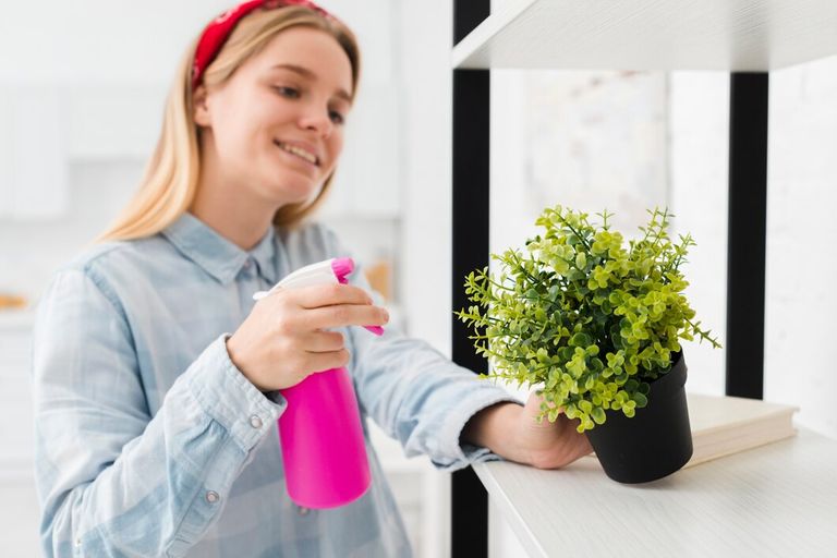 woman-spraying-plant-home_23-2148394914.jpg