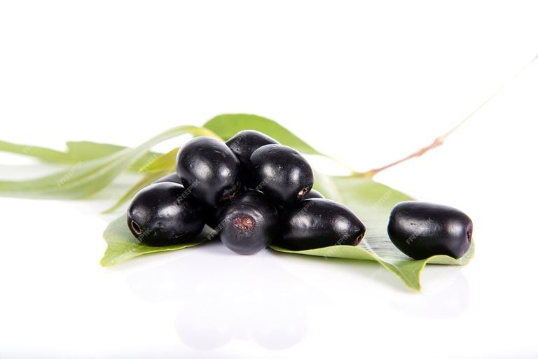 jambolan-plum-java-plum-syzygium-cumini_136354-2141.jpg