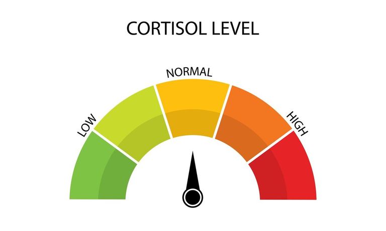 cortisol-meter-gauge-icon-representing-body-stress-response-levels-featuring-round-chart-with-arrow_1267554-419.jpg