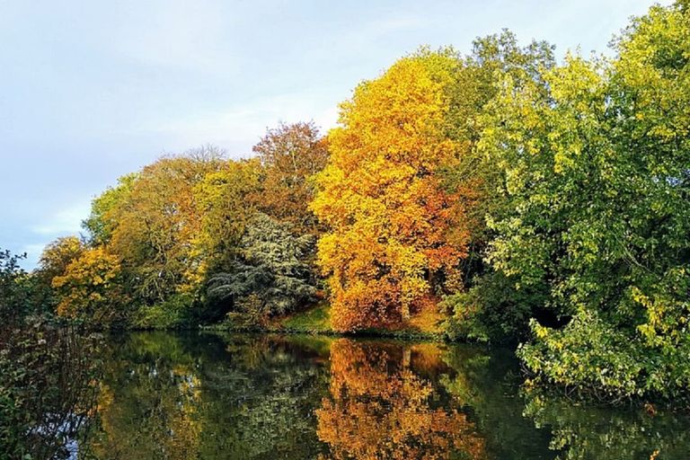 Autum-spring-Belgium-001-1200-Wikimedia-commons.jpg