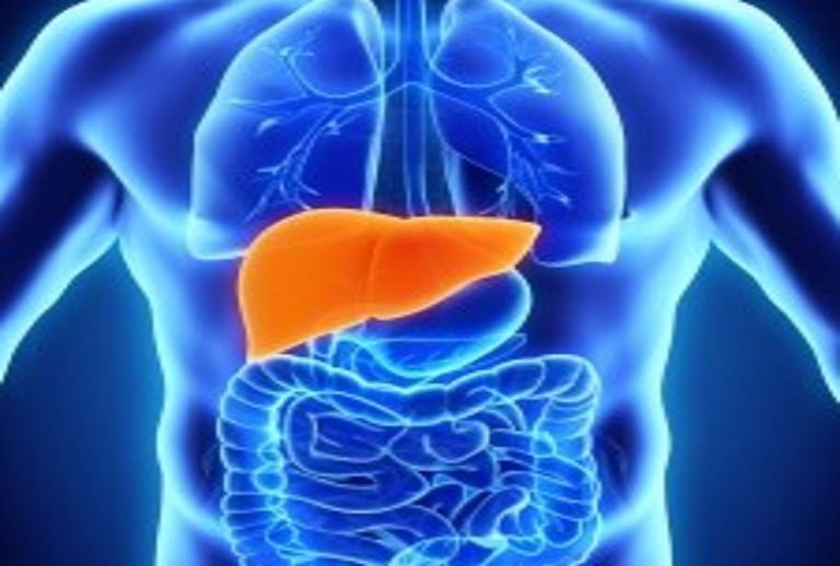 liver_1597050055.jpeg