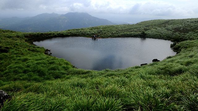 chembra_peak_in_wayanad20131119171528_508_1.jpg