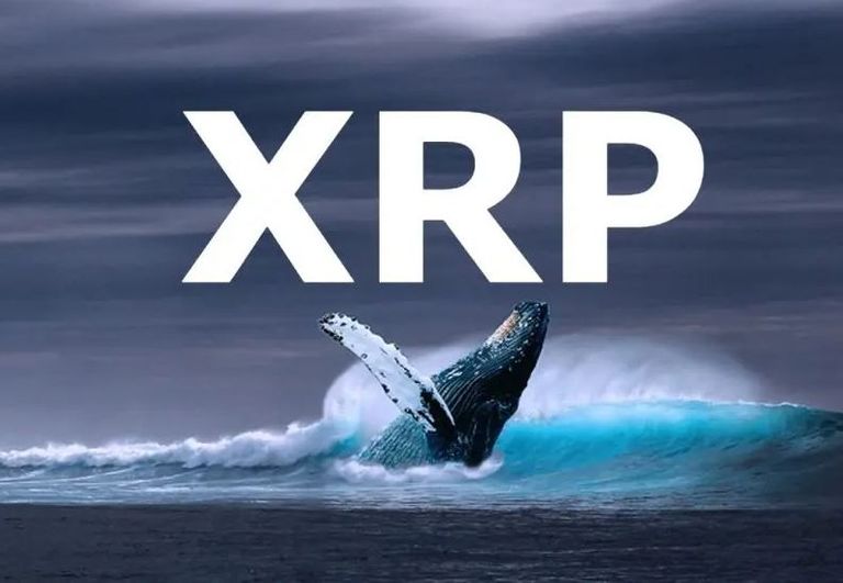 xrp3.JPG