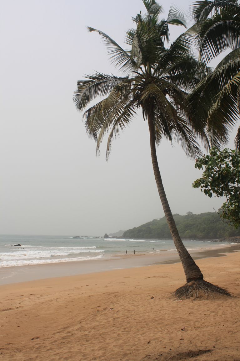 Ghana 2011 737.JPG