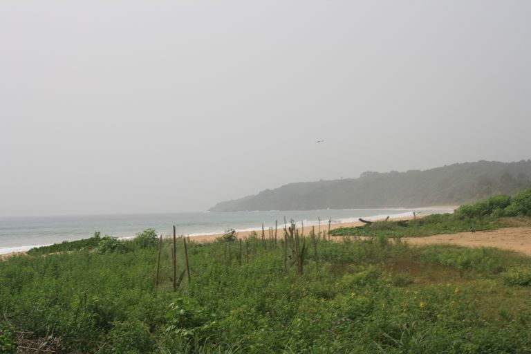 Ghana 2011 858.JPG