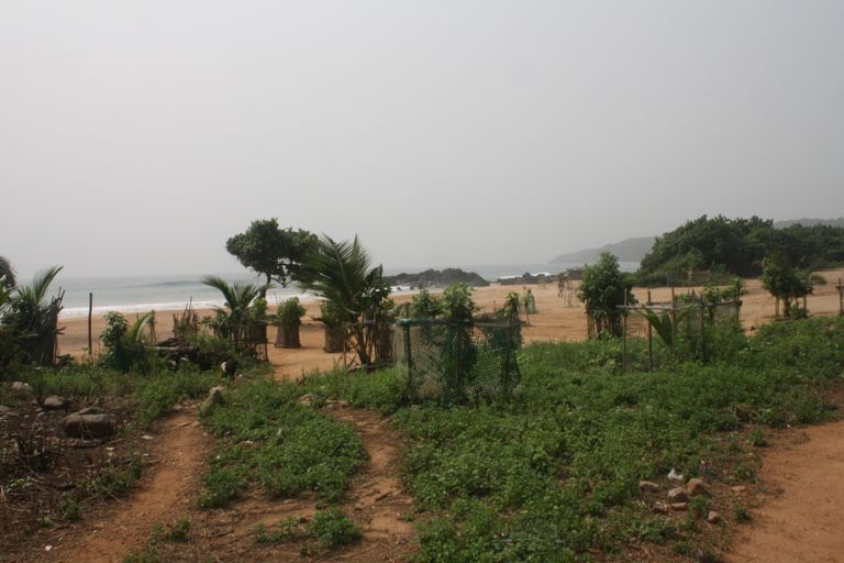 Ghana 2011 852.JPG