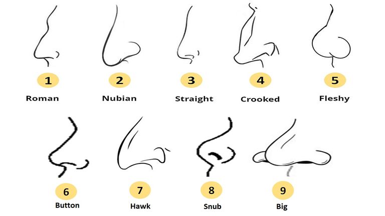 your-nose-shape-reveals-these-personality-traits-must-read.jpg