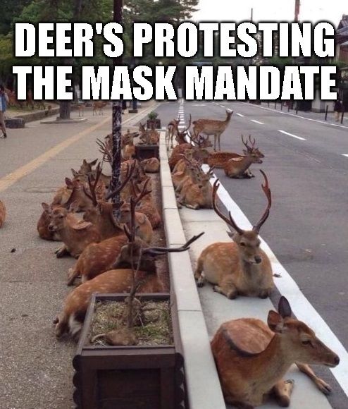 deer Protest.jpg