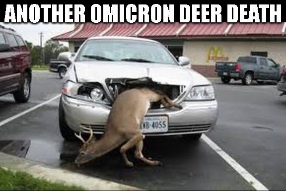 another omicron deer death.jpg