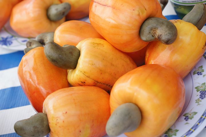 cashew-4590872__480.jpg