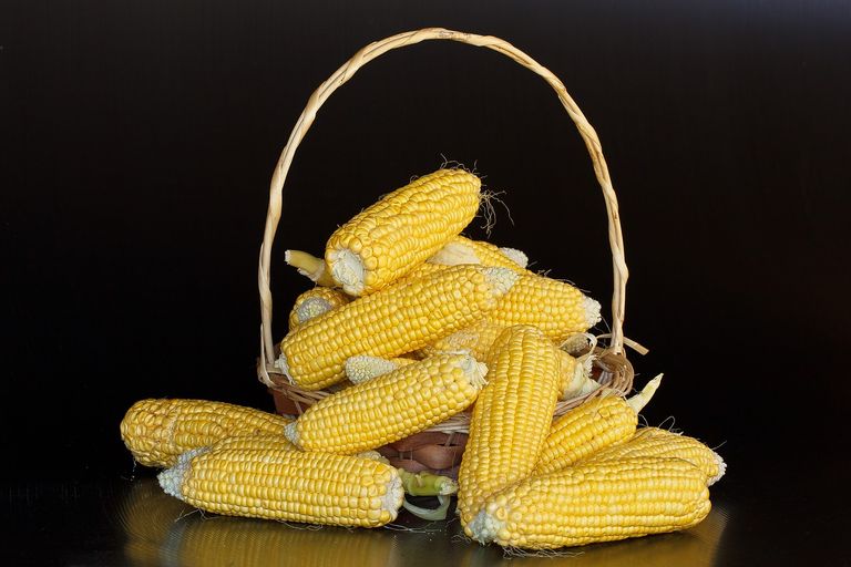 maize-380701_1280.jpg