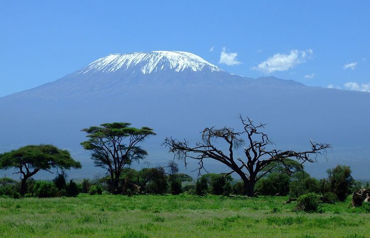 mount-kilimanjaro-1025146__480.jpg