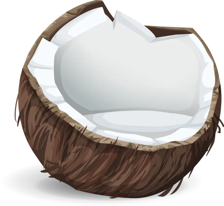 coconut-575780_1280.webp