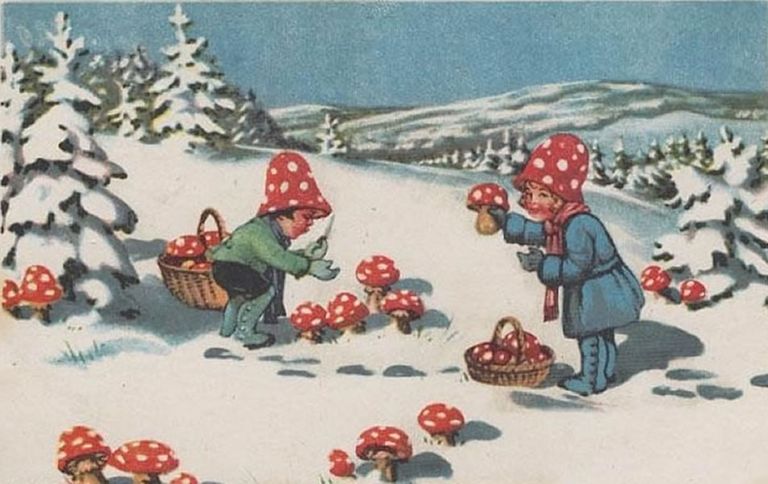 fly_agaric_childrens_holiday_card_lg.jpg