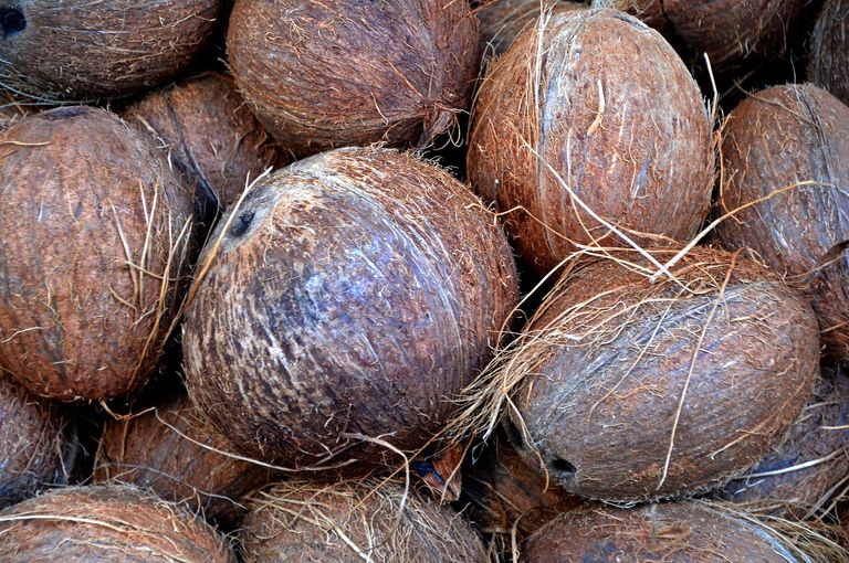 coconut-1583223_1920.jpg