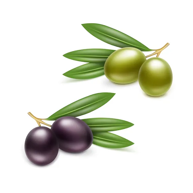 olives-tin-can-packaging-illustration-white-background_212889-1604.webp