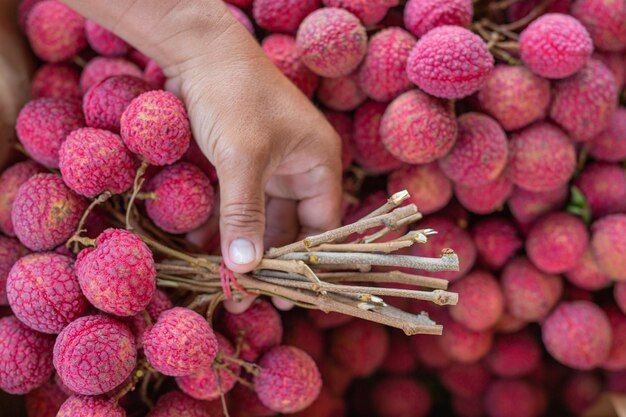 lychee-fruit-close-up_1150-13613.jpg