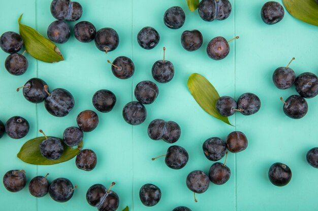 top-view-small-bluish-black-sloes-with-leaves-isolated-blue-background_141793-25671.jpg