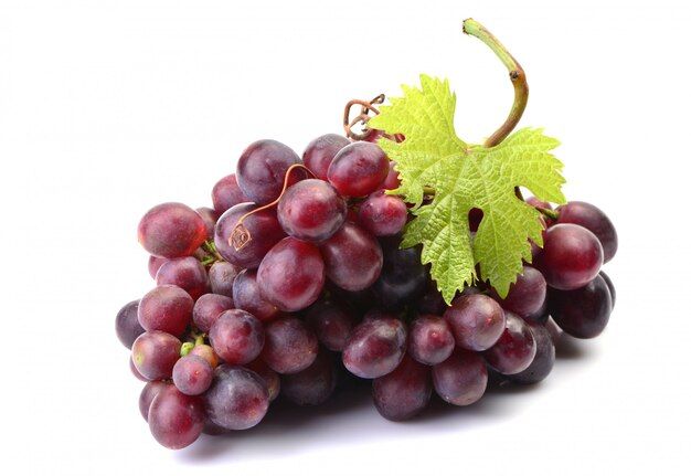 grapes-isolated_181303-260.jpg