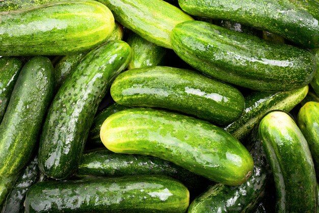 background-ripe-fresh-green-cucumbers_272787-414.jpg